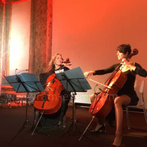Strings duets