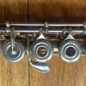 C Instruments
