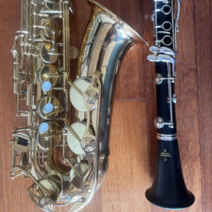 MOOD INDIGO (sax et clarinette duo)